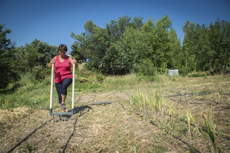 Un proyecto de agricultura ecológica en Madrid. Efeagro/Fernando Villar