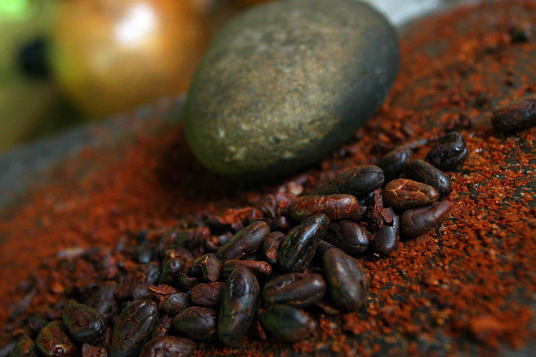 Detalle de los elementos utilizados para procesar la semilla del cacao
