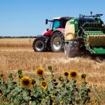 Una cosechadora de cereal en Cañizo (Zamora). Efeagro/ Mariam A. Montesinos