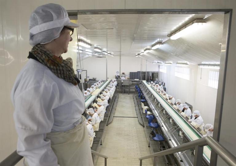 Fábrica de conservas de pescado. Efeagro/Juan Herrero