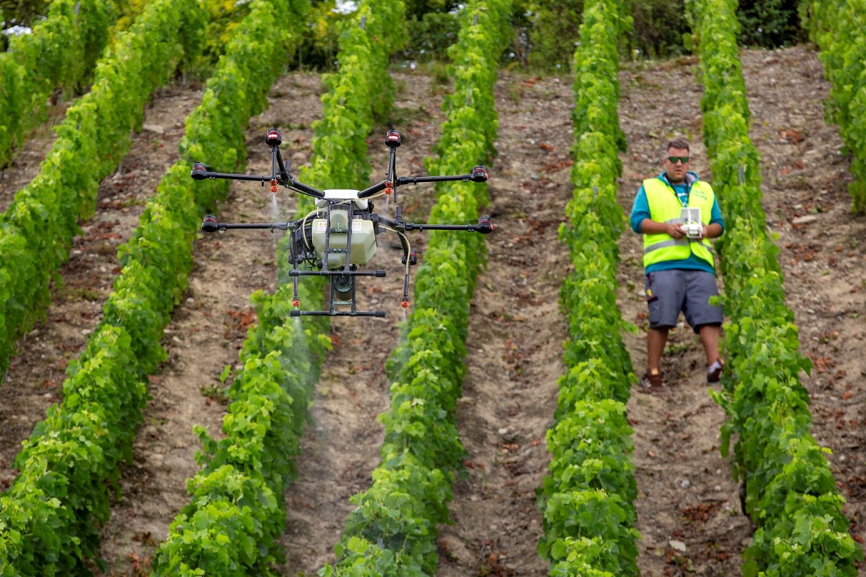 Un dron agrícola rocía con productos fitosanitarios un viñedo. Efeagro/ Salvatore di Nolfi