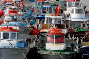 Flota de palangre, arrastre, cerco y artes menores del puerto de Ribeira (A Coruña). Efeagro/Lavandeira jr