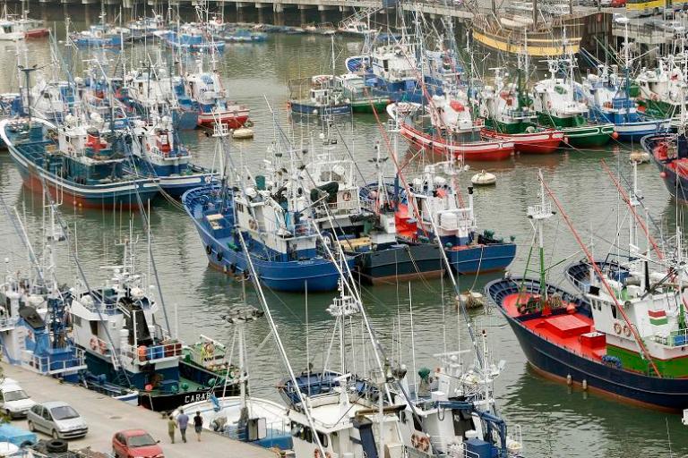 Puerto de Bermeo (Vizcaya). EFE/Alfredo Aldai.a.a