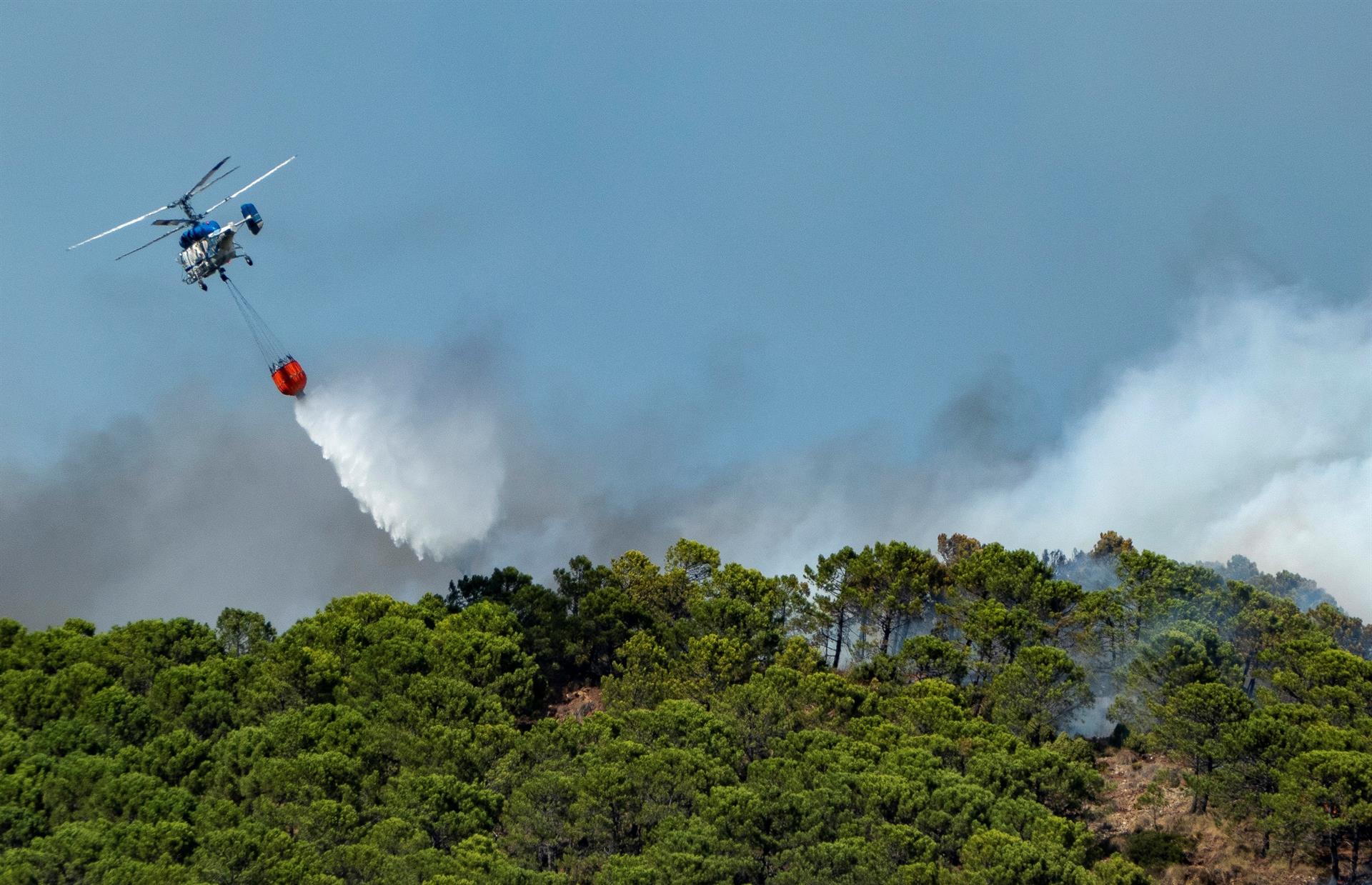 Incendio forestal de Sierra Bermeja (Málaga). Efeagro/David Arjona Ramírez