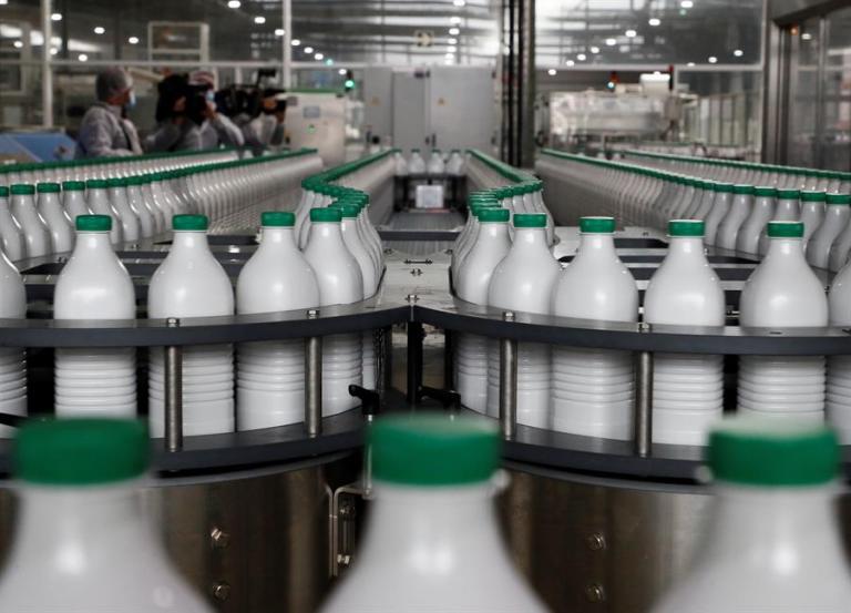 Zona de envasado de una factoría láctea en Lugo (Galicia). Efeagro/Eliseo Trigo