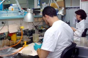 Dos trabajadores del Laboratorio Nacional de Referencia de la Gripe Aviar de Algete. Efeagro/Gustavo Cuevas