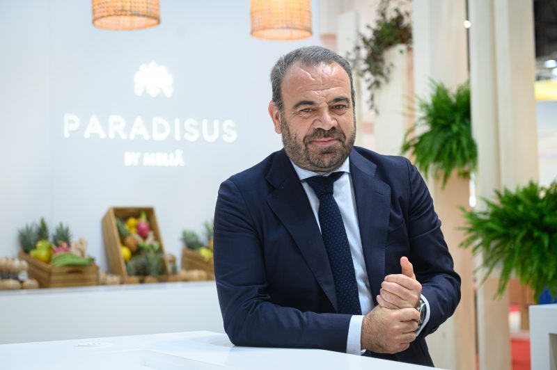 El consejero delegado de Meliá, Gabriel Escarrer/ foto: Fernando Villar