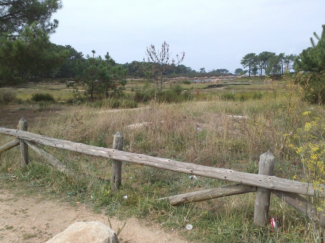finca rural Cambados