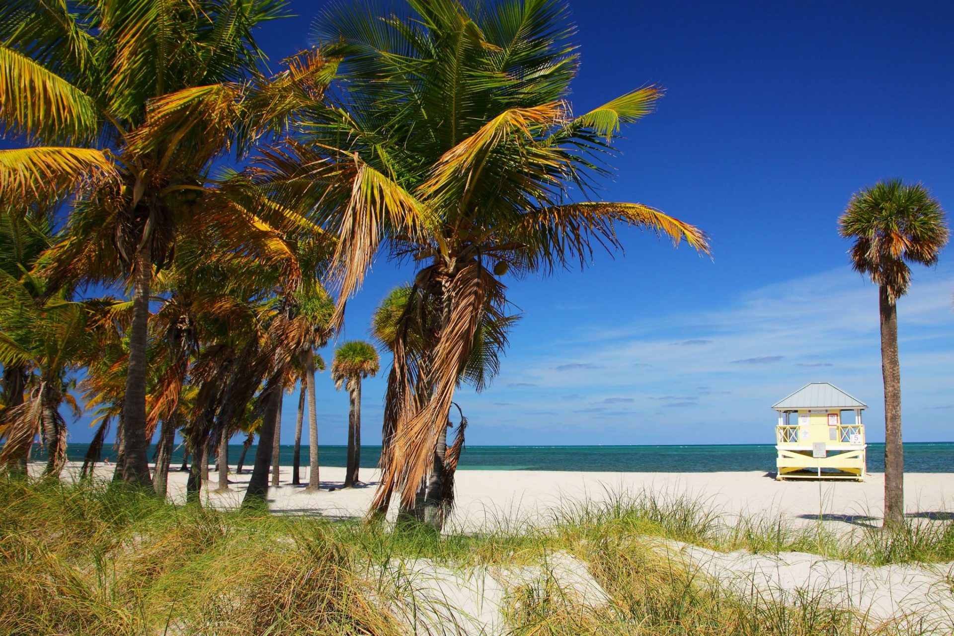Una de las idílicas playas en el Crandon Park de Miami. Foto: Efe/G.M.C.V.B.