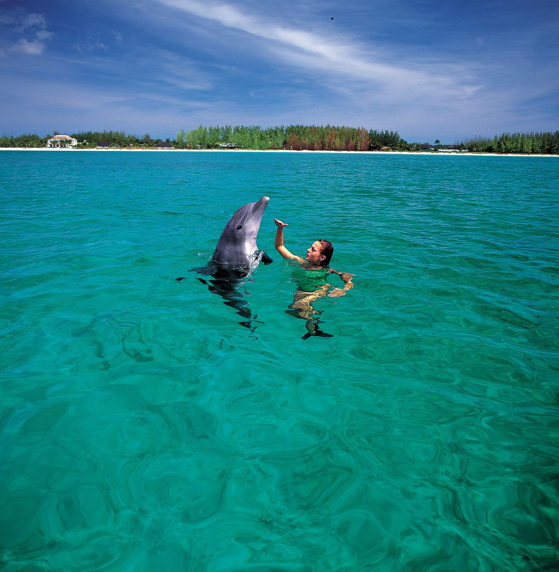 Una joven juguetea con un delfín cerca de una de las playas de Gran Bahama. Foto: Efe/Cedida por the Islands of the Bahamas.