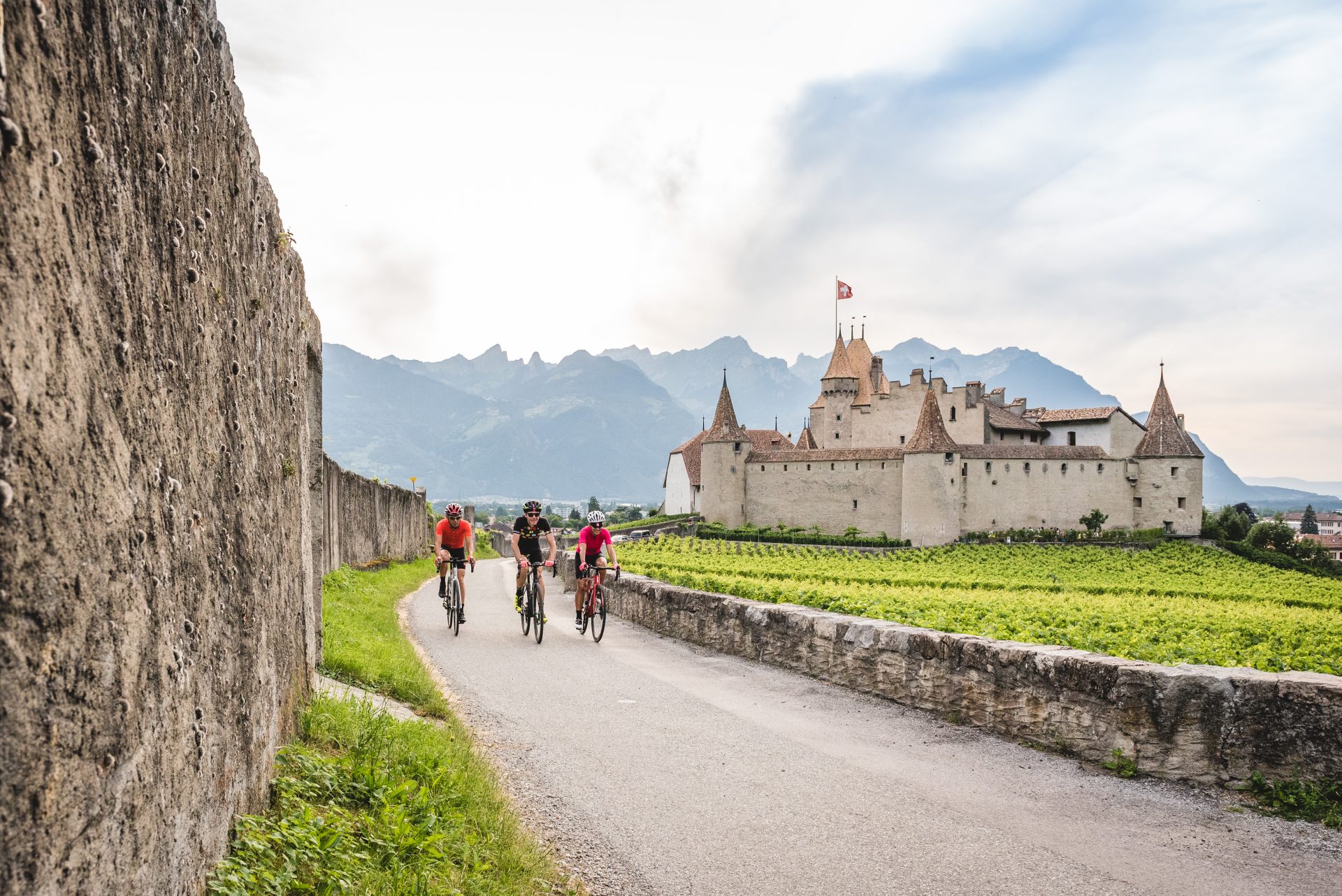 Ciclistas en verano en Suiza, en la zona de Aigle (Suiza). Foto: Andre Meier
