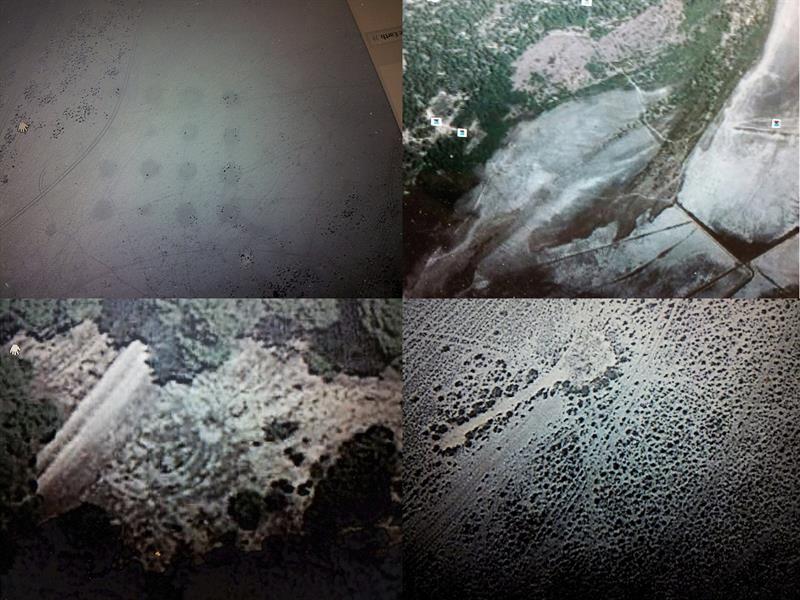 Imágenes tomadas por satélite de una gran ciudad antigua sepultada en el pinar de La Algaida, en Sanlúcar de Barrameda (Cádiz). EFE/Manuel Cuevas