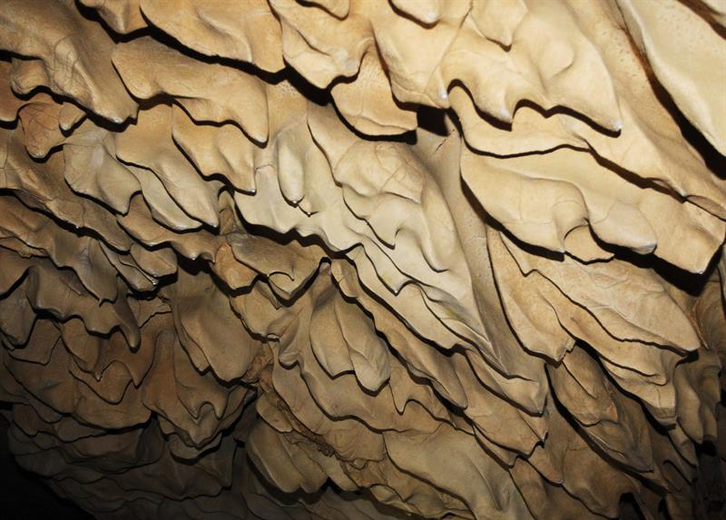 Formaciones calcáreas producidas por las filtraciones de agua en la cueva de Chufin. Foto: Esteban Cobo.