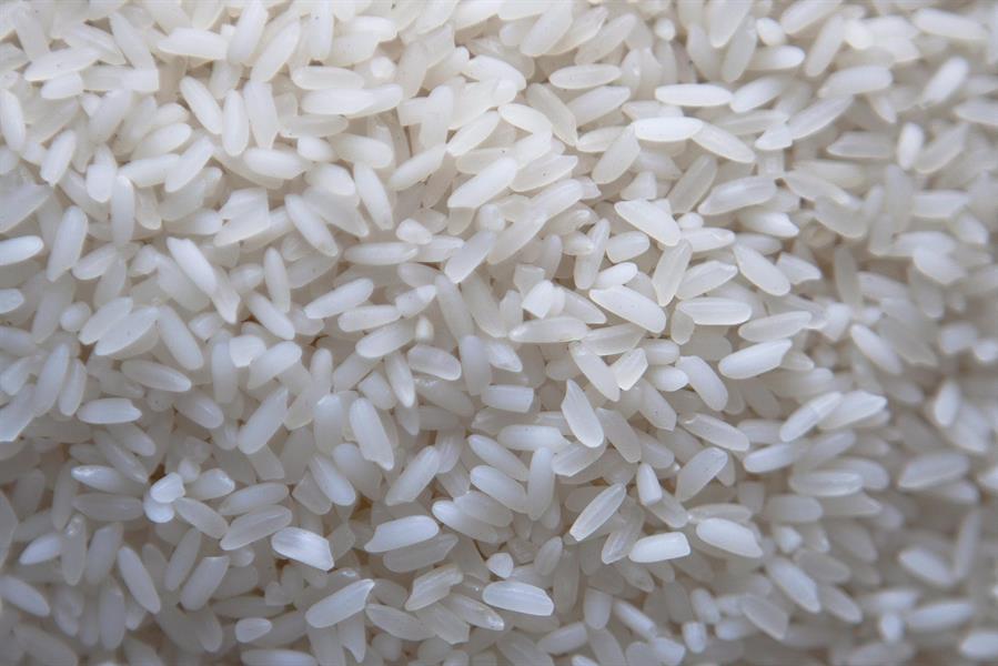 Granos de arroz. Efeagro/Luong Thai Linh