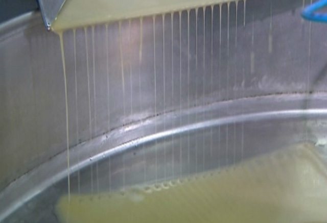 Aceite recién extraído en una almazara. Foto: EFEAGRO ARCHIVO