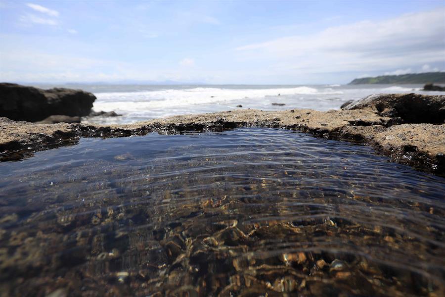 Costa del Pacífico en Costa Rica. Efeagro/Jeffrey Arguedas