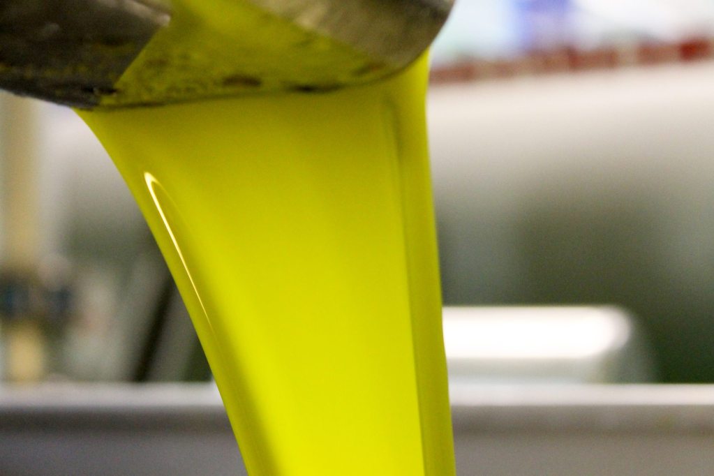 Aceite de oliva en una almazara. Efeagro/DO Estepa