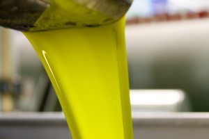 Aceite de oliva en una almazara. Efeagro/DO Estepa