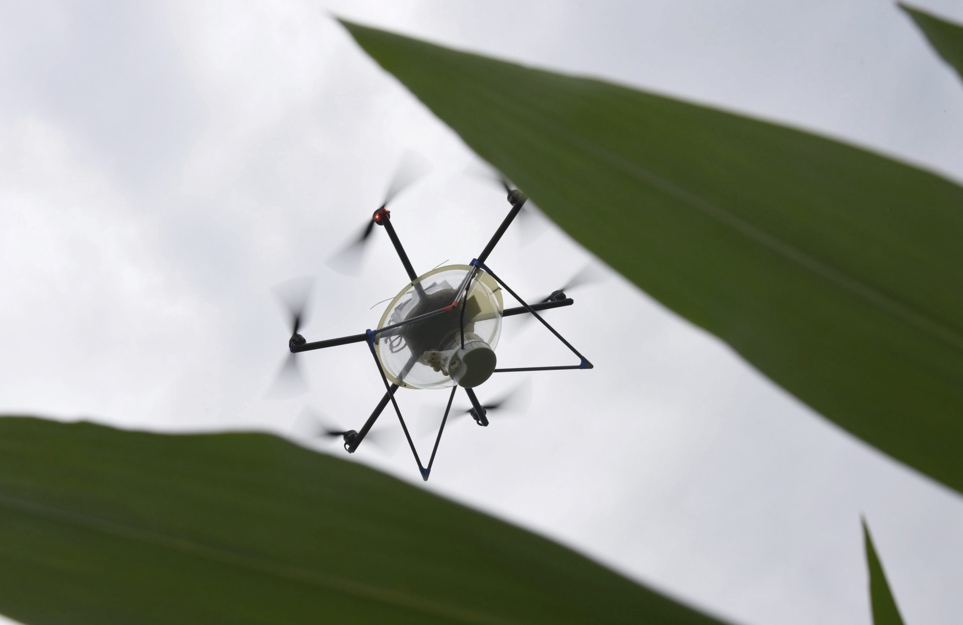Imagen de un dron. Foto: EPA/PATRICK SEEGER