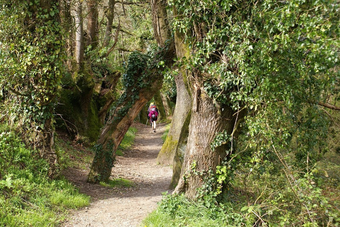 Imagen del relato "La Prueba del Nueve". Imagen: Cedida por Mujeres Viajeras.