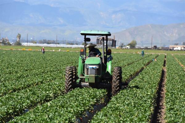 Un granjero cultiva su tierra en California (EEUU). EFEAGRO/Iván Mejía