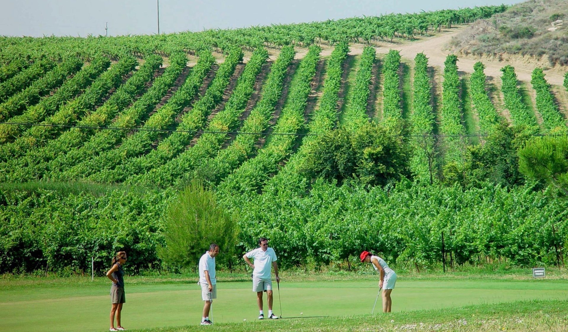 Campo de golf junto a una explotación de viñedos de Lleida. Foto: Efeagro/Cedida por Acevin