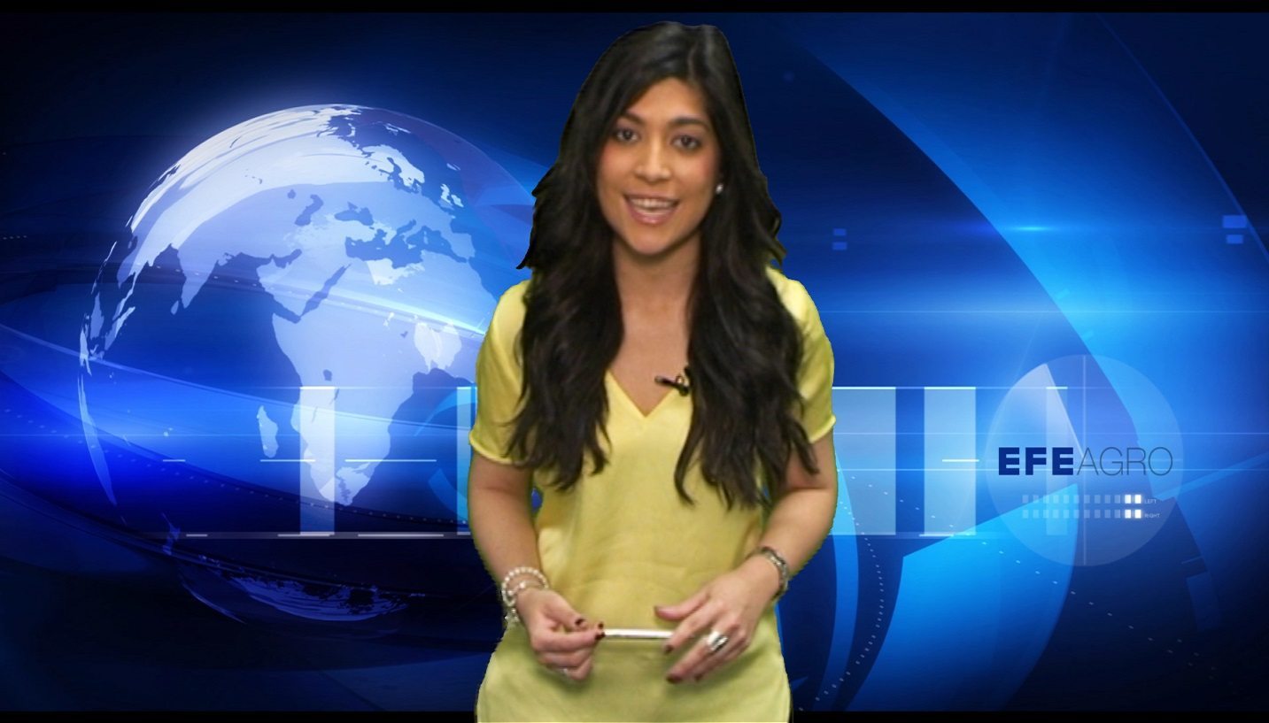 La actualidad en tres minutos.