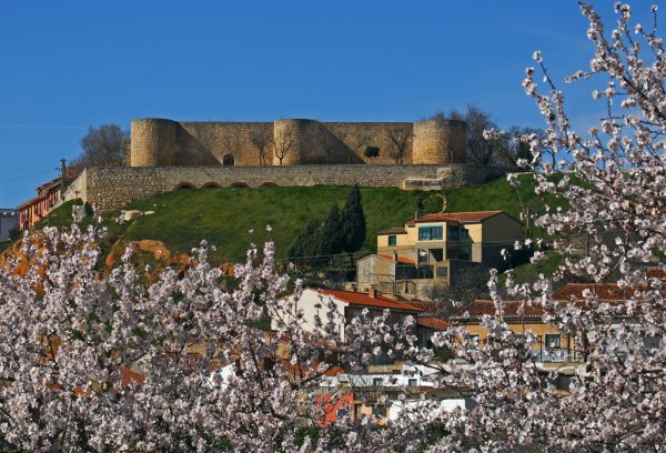 Vista del Alcázar de Toro.