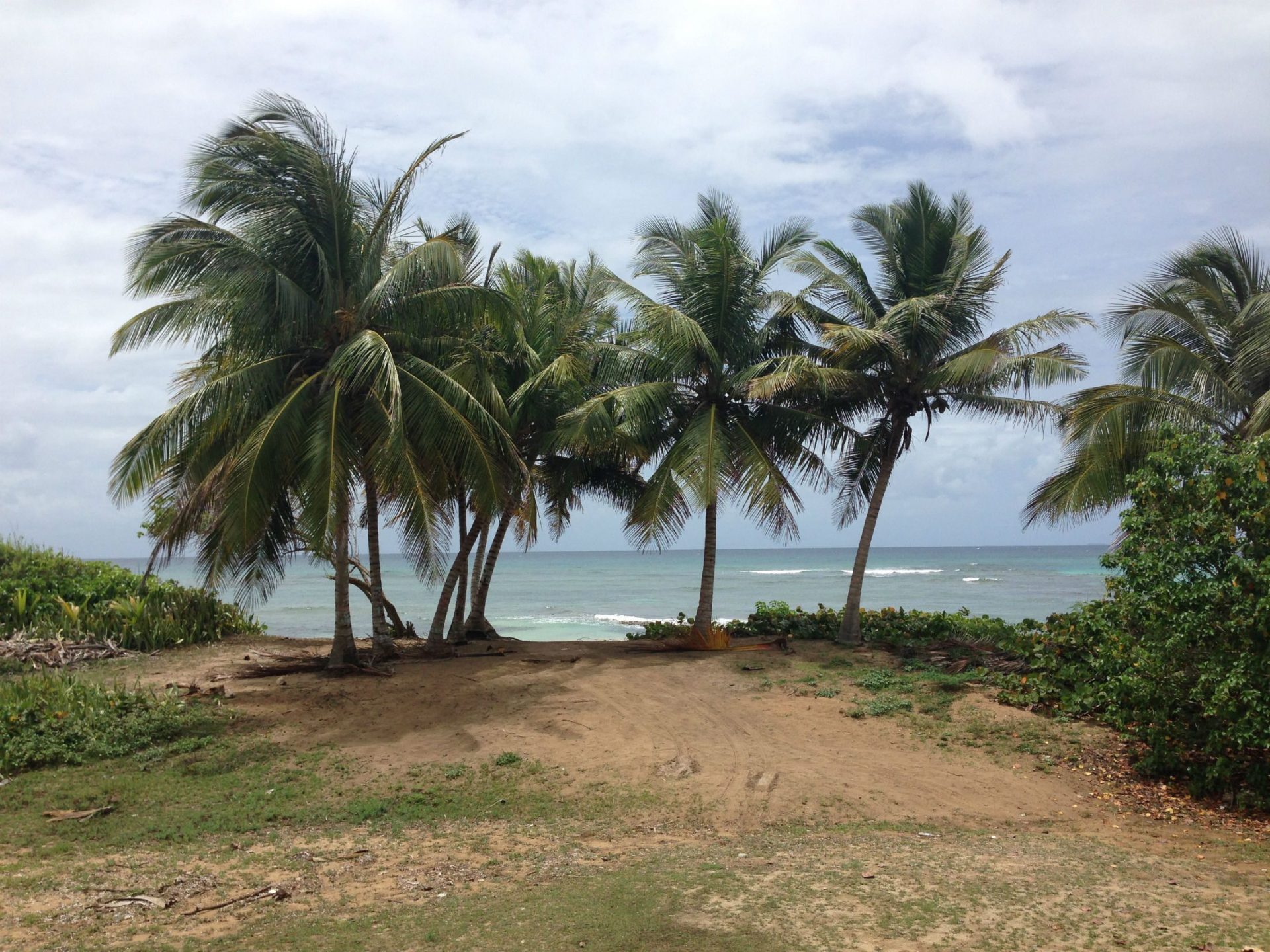 Las playas del Vieques aparecen recurrentemente en las listas de las mejores playas del mundo, y una de las favoritas en el Caribe. EFE/JORGE MUÑIZ.