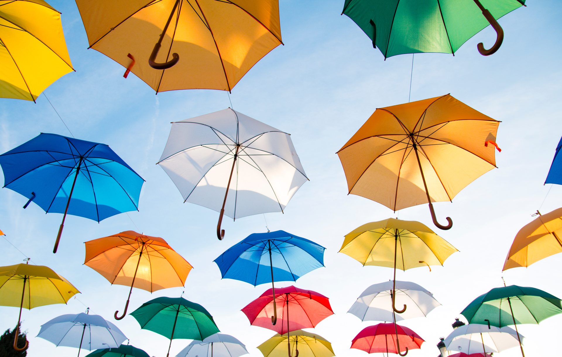Imagen de varios paraguas de colores. Foto: Pexels