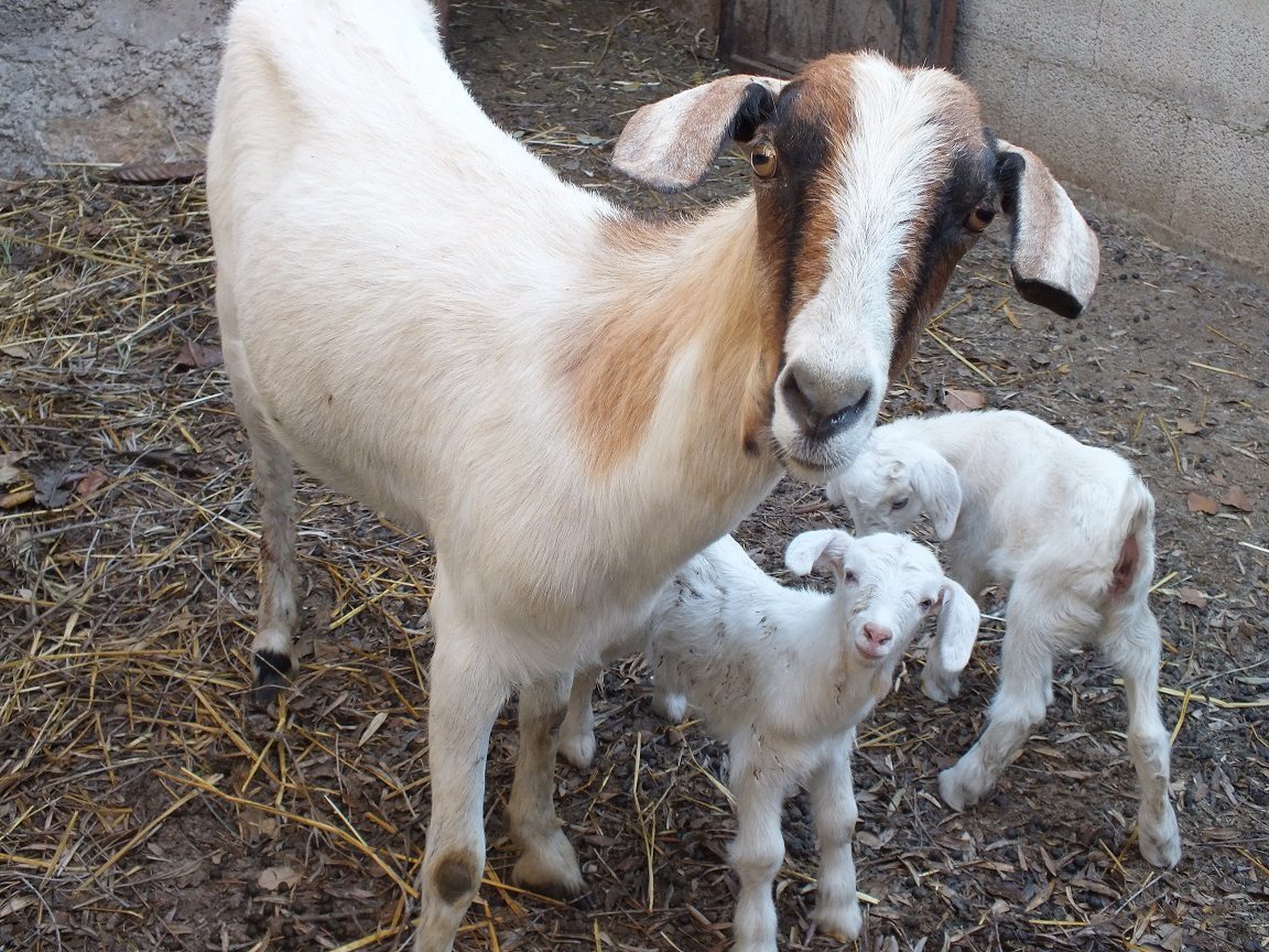 Calar de Sima. Foto: Escapada Rural.