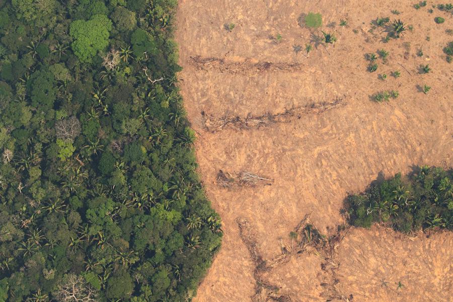 Áreas deforestadas de la selva amazónica de Porto Velho, Rondonia (Brasil). Efeagro/Joédson Alves
