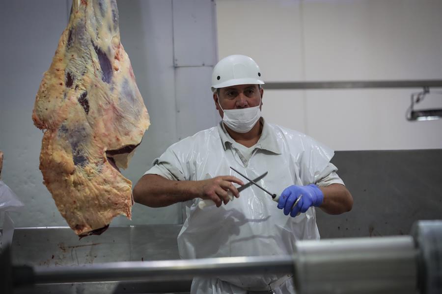 Un trabajador de un frigorífico uruguayo corta carne vacuna. Efeagro/Federico Anfitti