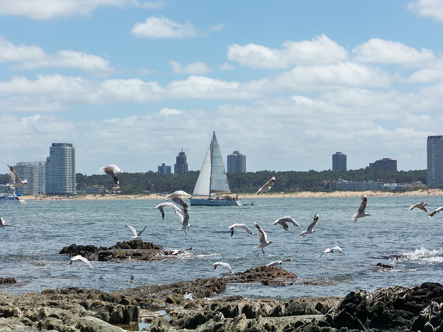 Vistas de Punta del Este desde la isla. Foto: Efetur/Cedida por Turismo de Uruguay.