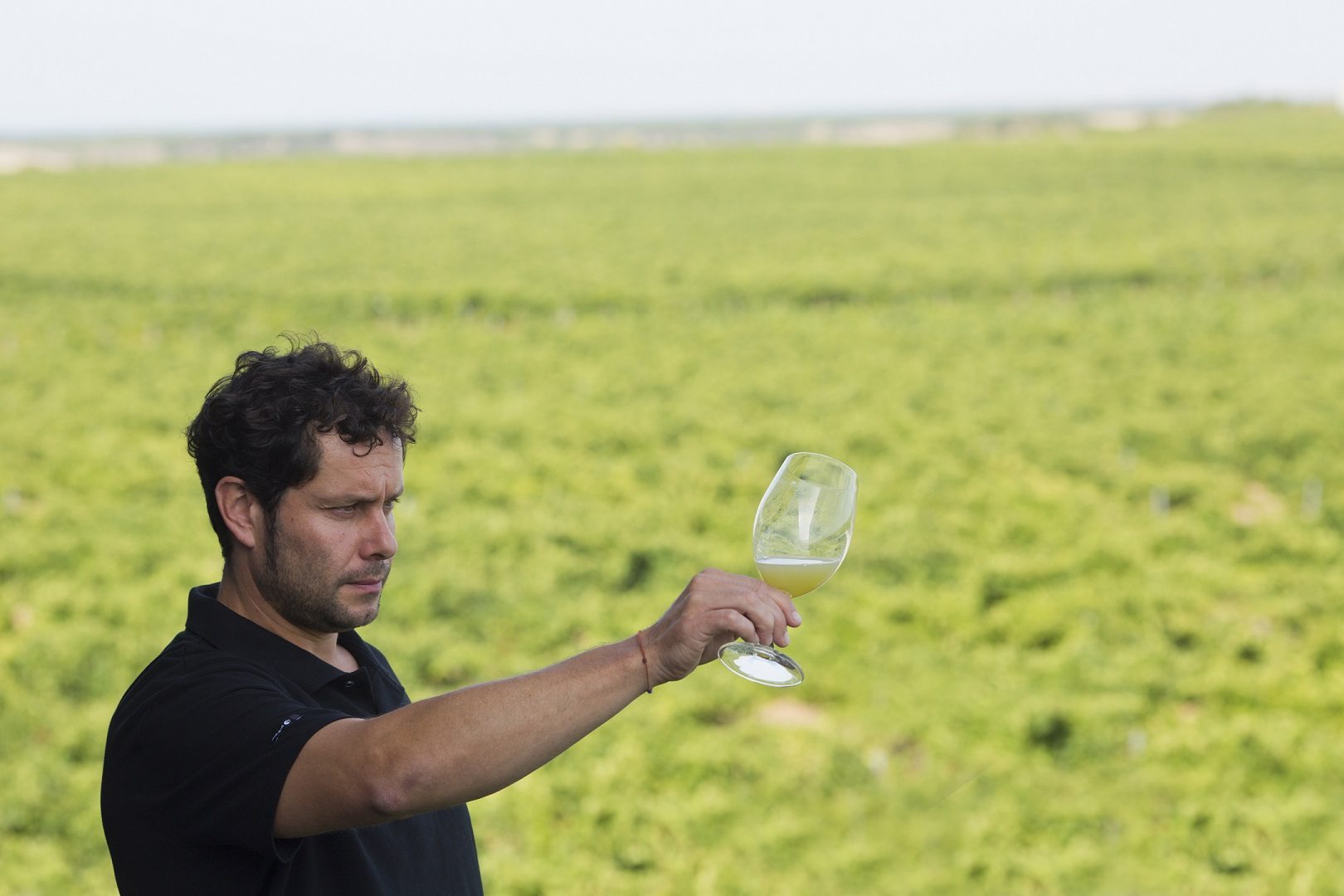 Ricardo Sanz entre viñedos. Foto: Bodegas Menade