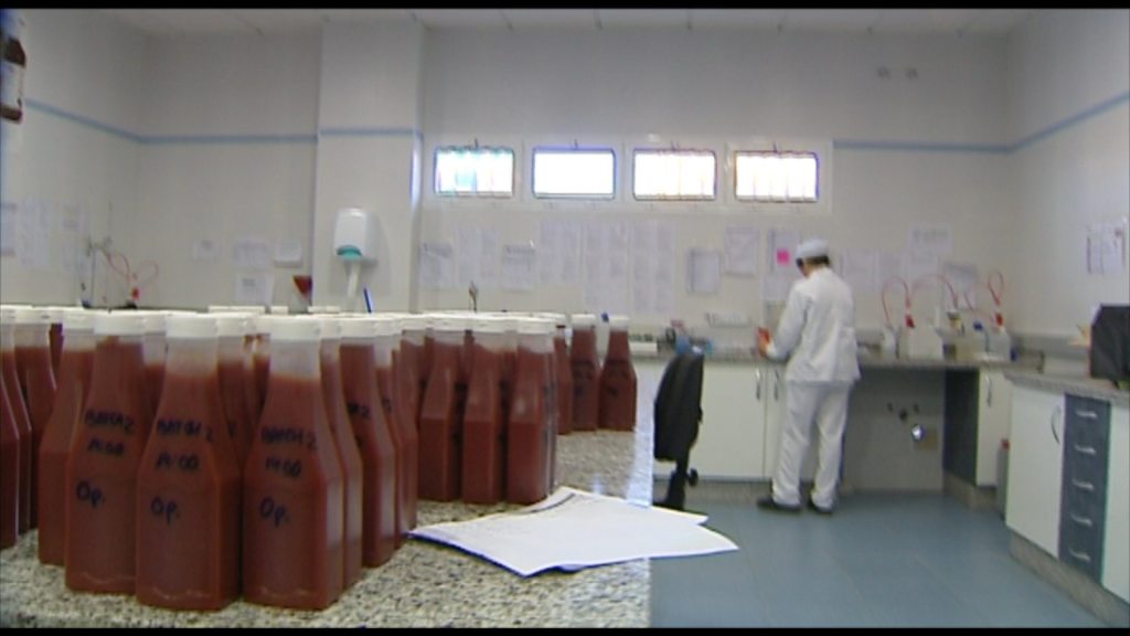 Una mujer extremeña trabajando en un laboratorio. EFEAGRO
