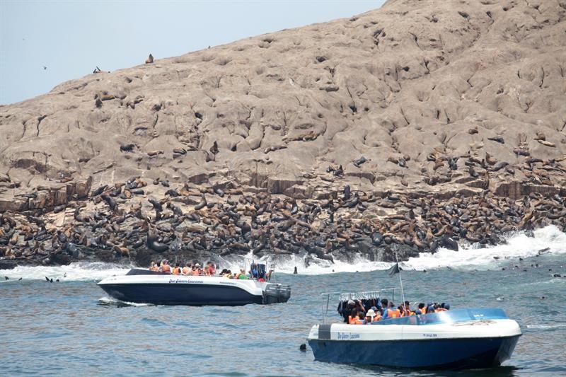 Lanchas de turistas observando lobos marinos en una de las islas Palomino, (Perú). Foto: EFE/ Ernesto Arias