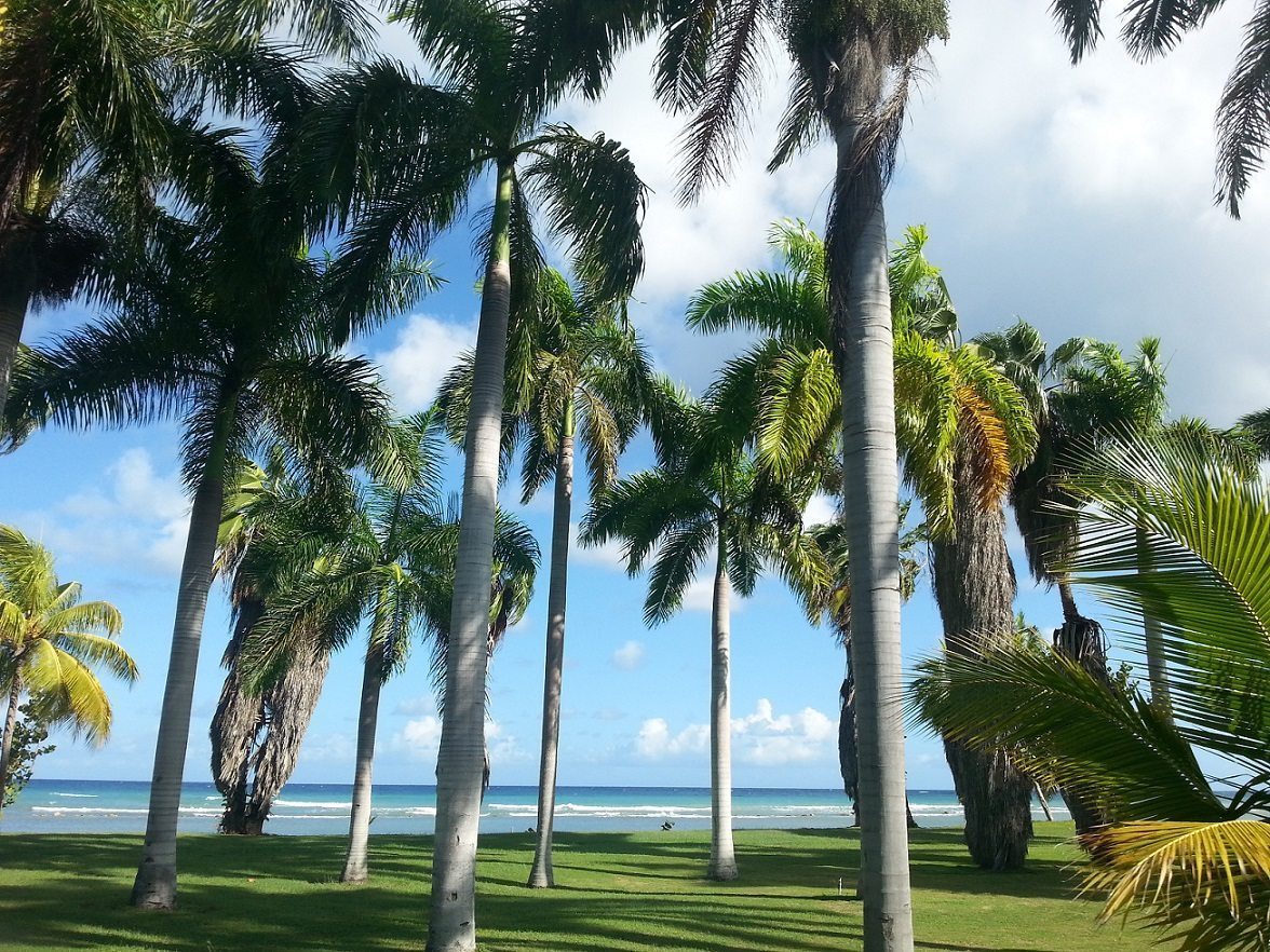 Playas de Montego Bay. Foto. Ginés Mena.