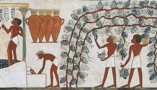 Un detalle de la iconografía egipcia del vino. Foto: Perelada