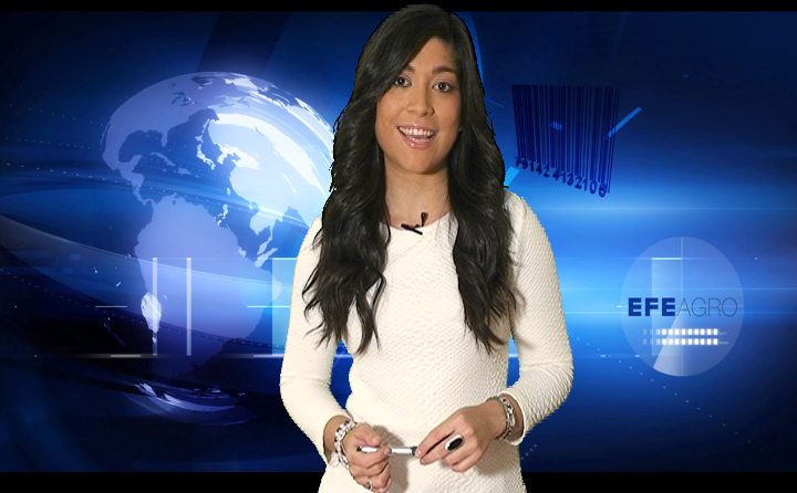 La actualidad alimentaria en tres minutos. EFEAGRO
