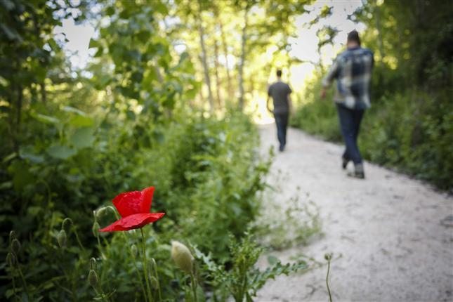 Unos turistas disfrutan de un paseo por el margen del río Duero a través de la Senda del Duero, un camino que bordea 40 kilómetros del río entre Olivares y Bocos. EFE/ R. García