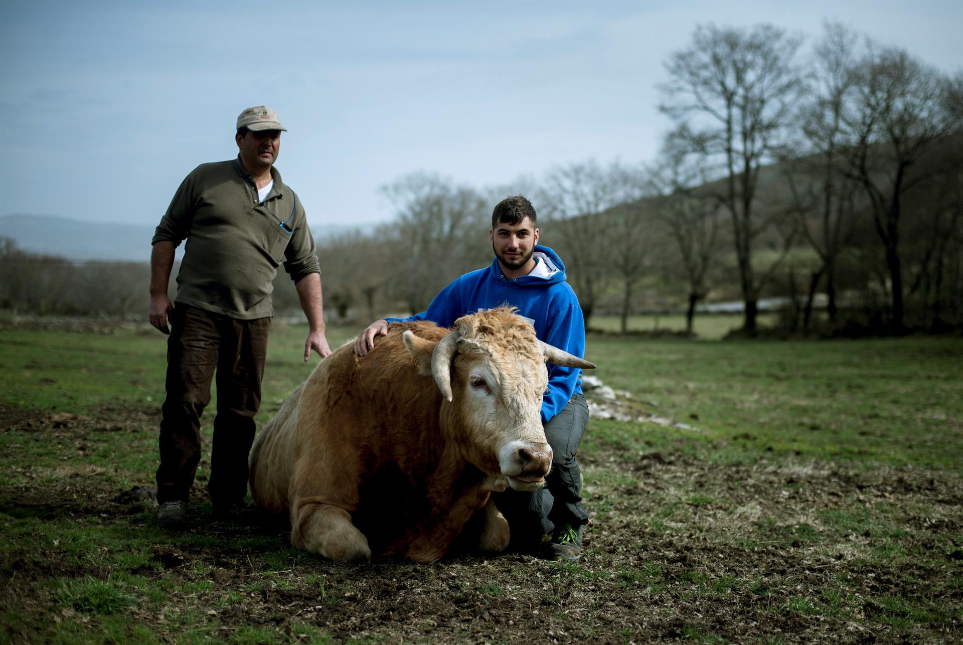 Un joven ganadero con su padre en una explotación de Galicia. Efeagro/Brais Lorenzo