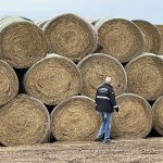 Un operativo en la provincia de Santa Fe (Argentina). Cedida por AFIP