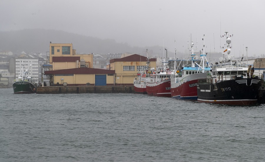 Varios barcos permanecen amarrados en el puerto de Burela (Lugo). Efeagro/Eliseo Trigo