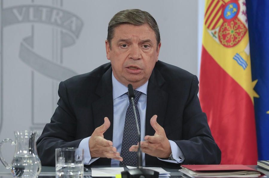 El ministro de Agricultura, Pesca y Alimentación, Luis Planas. EFE/ Fernando Alvarado