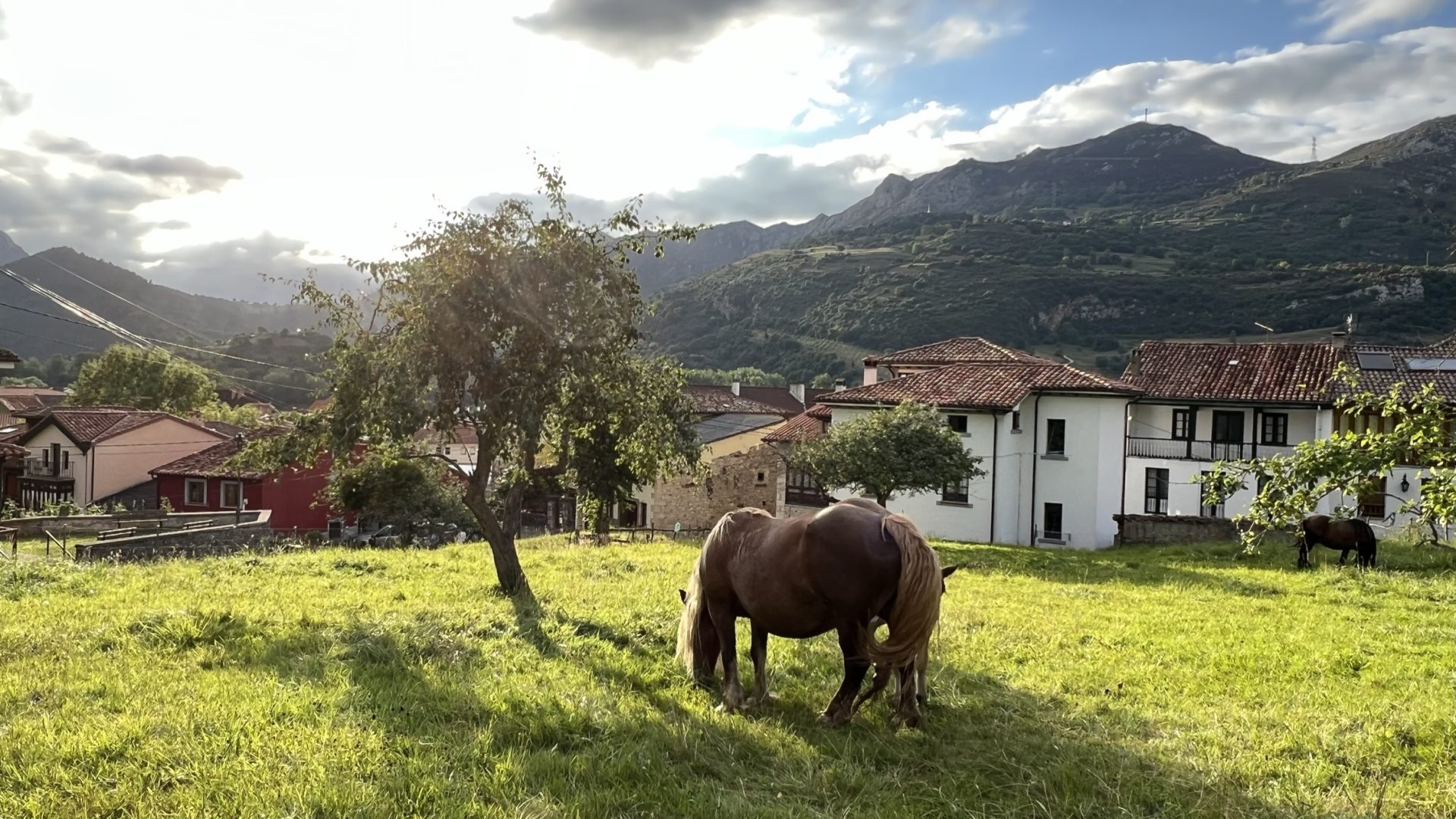 Una yegua en un pueblo de Cantabria. Efeagro/Nerea Díaz