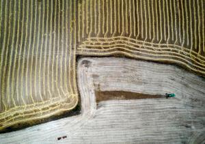 Una máquina cosechadora recoge cereal en un campo. Efeagro/Jesús Diges
