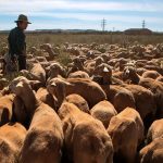 Un ganadero del pueblo de Alfamén (Zaragoza). Efeagro/Toni Galán
