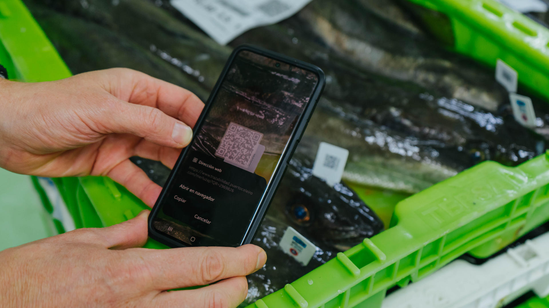 El Puerto de Celeiro (Lugo) aplica tecnologías digitales para garantizar la fiabilidad del origen y permitir que los consumidores conozcan mediante un código QR en la etiqueta su recorrido desde su captura hasta la pescadería.-EFE/Eva González