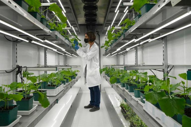 La agricultura de precisión y la Inteligencia Artificial, tendencias ...